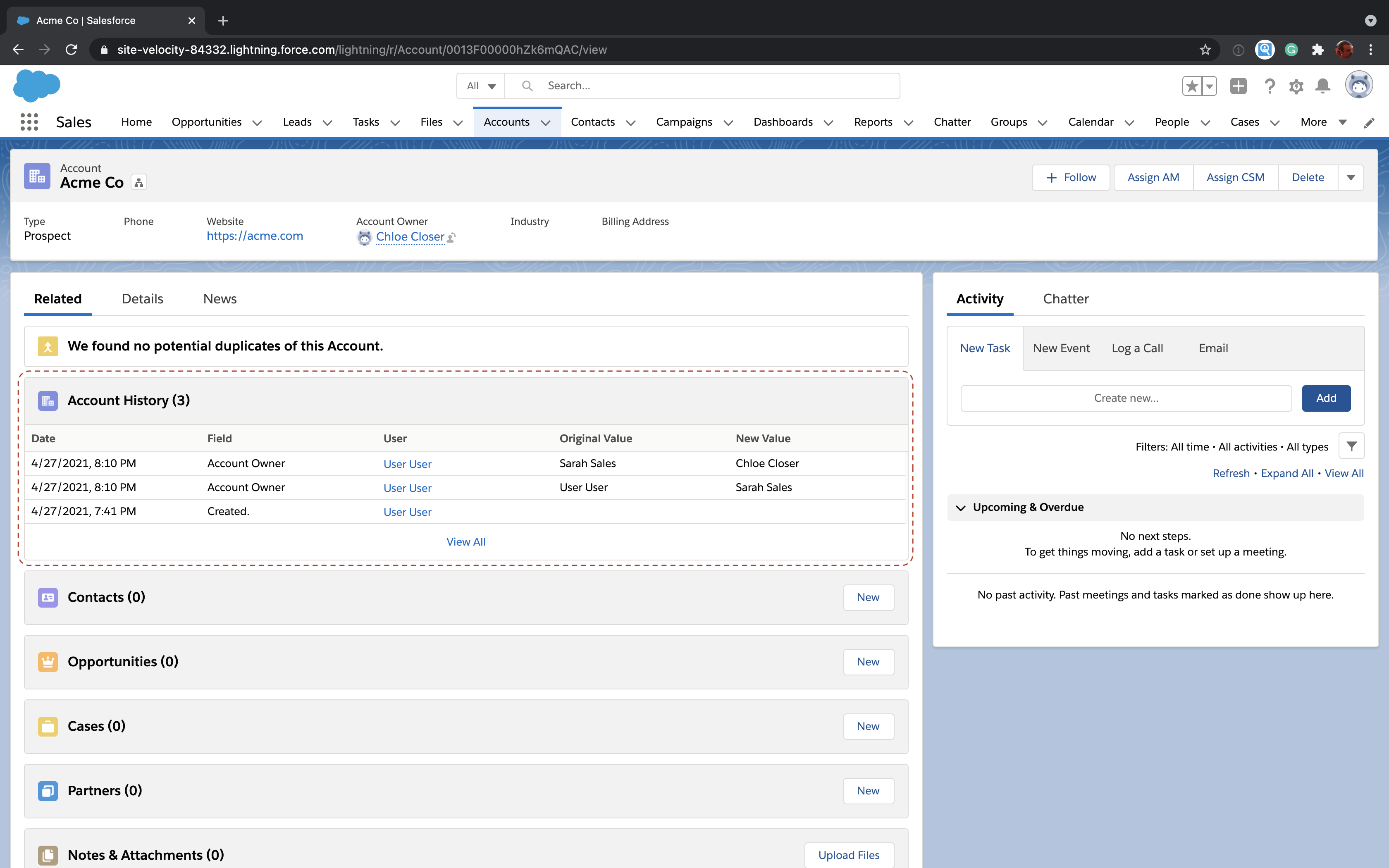 salesforce case history owner (assignment)