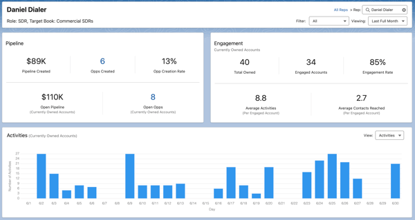Manager View Rep Report