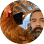 chicken mando