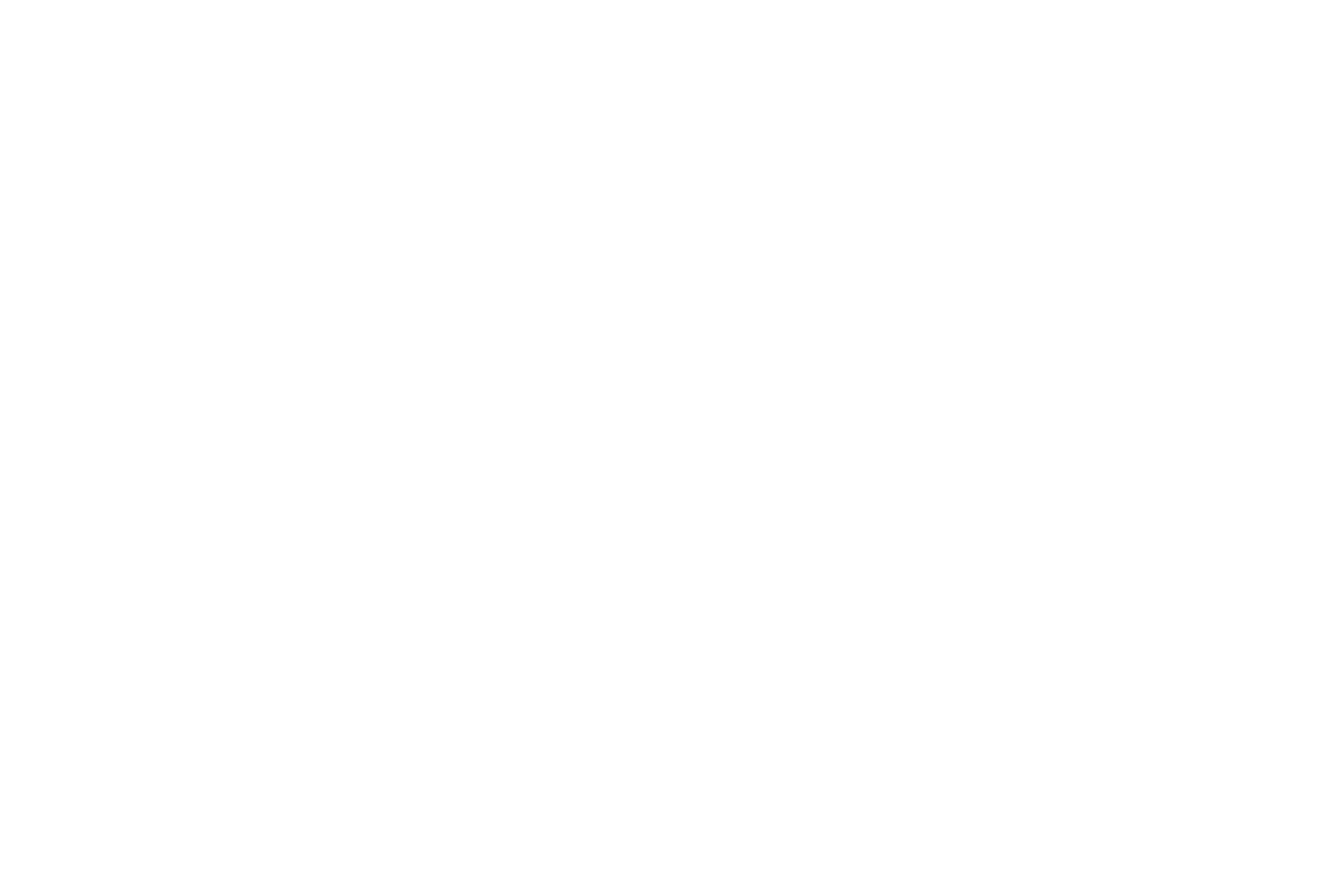 pricing starts at $200 white