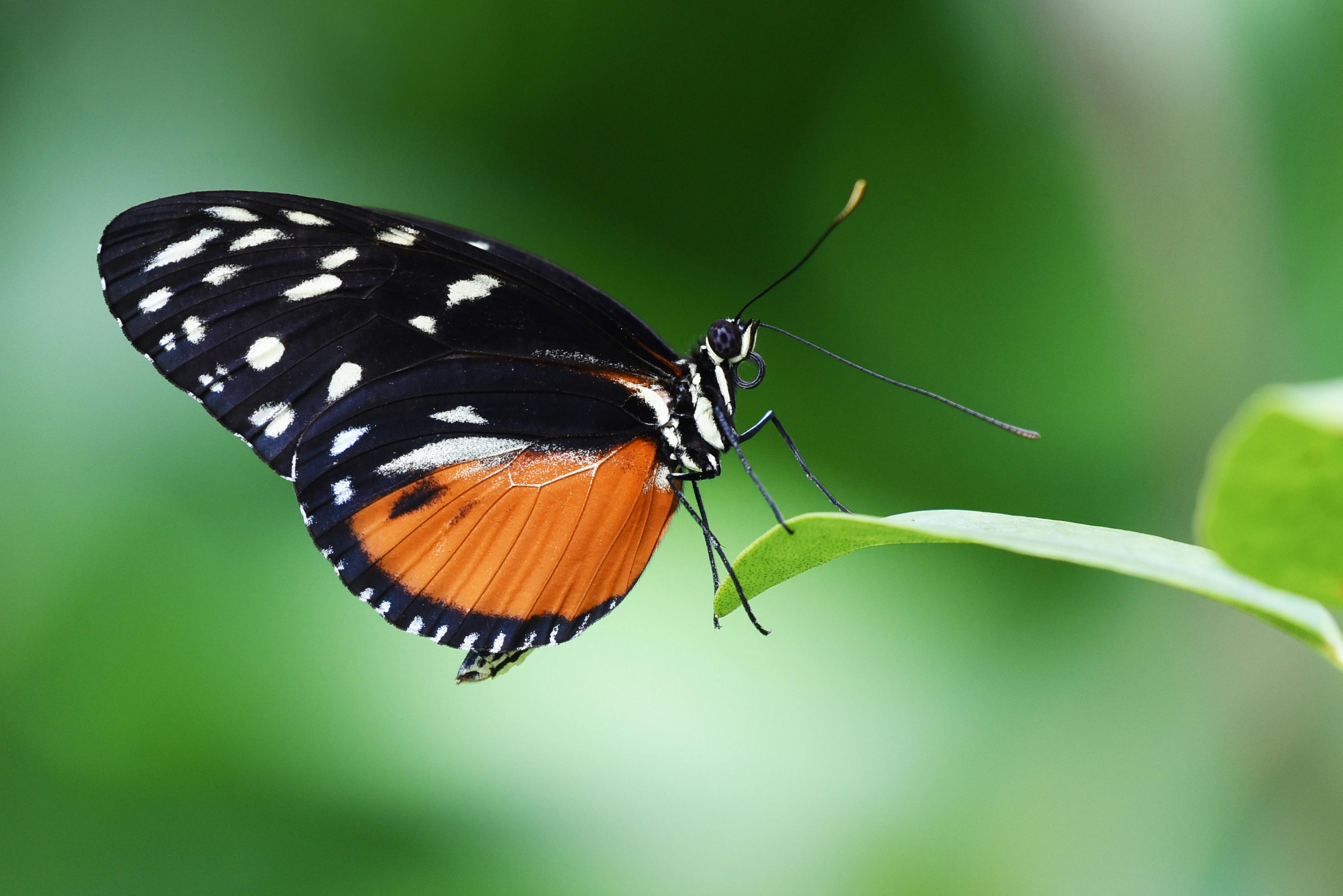 <span id="hs_cos_wrapper_name" class="hs_cos_wrapper hs_cos_wrapper_meta_field hs_cos_wrapper_type_text" style="" data-hs-cos-general-type="meta_field" data-hs-cos-type="text" >Butterfly effect in RevOps: How tiny changes wreck territory models</span>